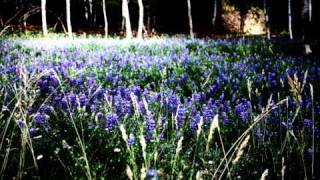 The Kilimanjaro Darkjazz Ensemble - March of the swine