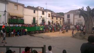 preview picture of video 'Encierros Torralba (Cuenca) Charanga Alfonso Octavas'