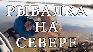 На что ловят щуку в нижневартовске