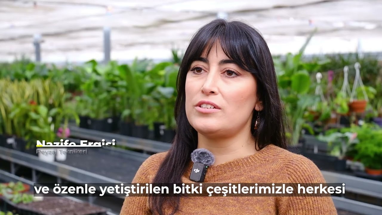 8 Mart Dünya Kadınlar Günü’nde ANFA Bitki Evleri ziyaretçilerini bekliyor🌸🌿