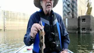 preview picture of video 'Ray Wix October Pickwick Dam Sauger&Crappie Technique fishing Slider Grubs.mp4'