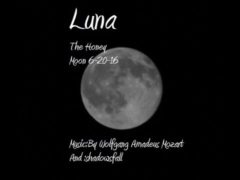 Luna Mozart