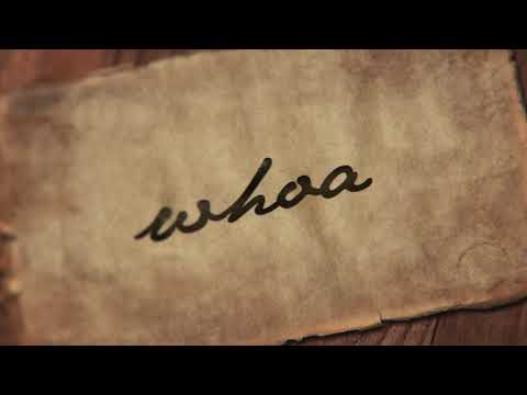 Hold On Virginia - Josh Taerk