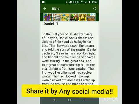 Bible AMP
