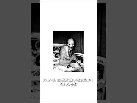 How Spirit Halloween Helped Create The Russian Sleep Experiment