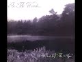 In The Woods...- Heart of the Ages (Album 1995)