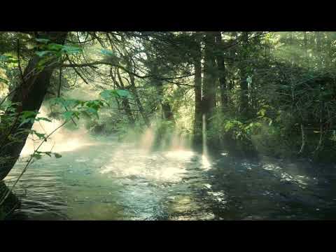 Let The Soulful Music Flow - Domino Johnson & The Soulmen