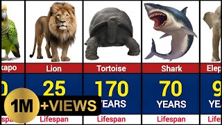 Animals dog ancien tmythology stories. I will be detailing the shortest and longest lifespans of animals.