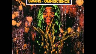 Swans - Amnesia
