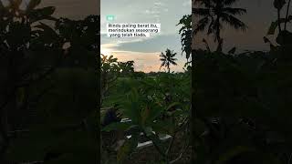 Download lagu Rindu paling berat mp3