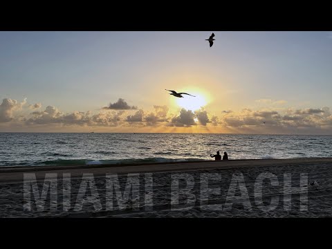 Beautiful Sunrise in Miami Beach 2022! 4k Video by @saltylens