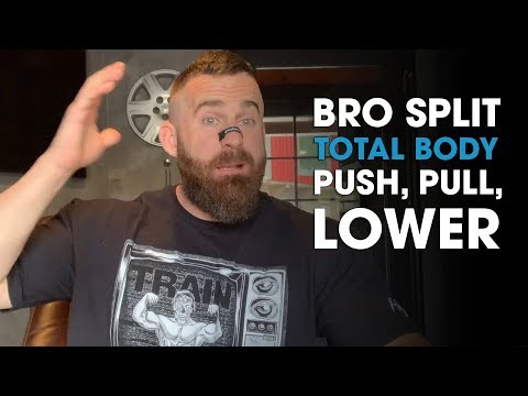 Bro split, total body or push, pull, lower?