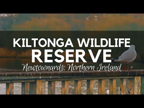 Kiltonga Wildlife Reserve - Newtownards, Northern Ireland Video