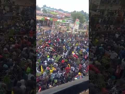 Protest ongoing massively in Nigeria #endbadgoverment #protest #viralshort