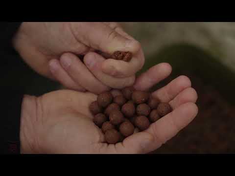 STARBAITS - Boilies Concept Crayzi Fruit 14 mm 800 g