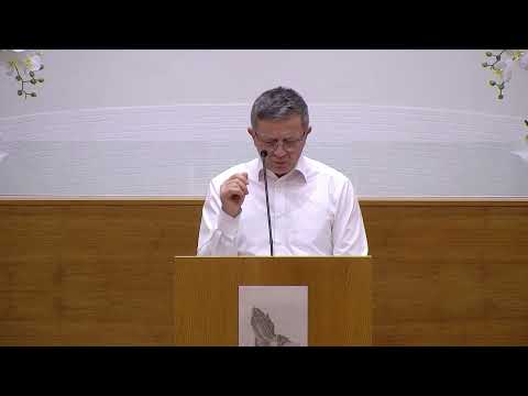 Nelu Zlibuț - Vegherea în vremea de pe urmă