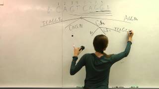 Download the video "Creating the Suffix Tree - Conceptually"