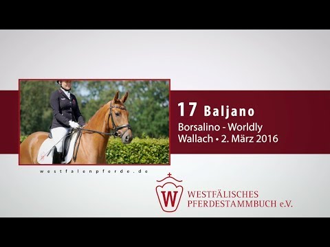 17 Baljano  Wallach v. Borsalino - Worldly