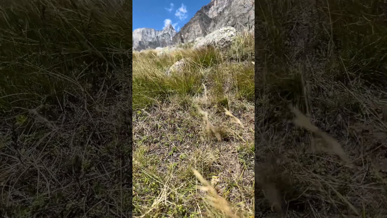 #music #love #video #viral #trending #nature #youtube #song