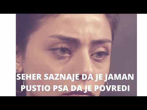 SEHER SAZNAJE DA JE JAMAN PUSTIO PSA DA JE POVREDI-EMANET 365. epizoda