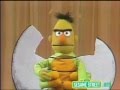 Sesame Street The Life Of A Butterfly Pageant Incomplete