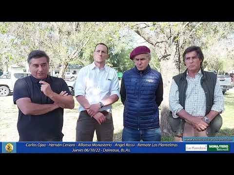 06-10-22 - Carlos Ojea - Hernán Ceriani - Alfonso Monasterio - Angel Rossi-   Remate Las Planteleras
