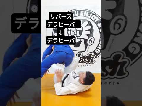 【柔術】リバースデラヒーバガードからデラヒーバガードへ！
