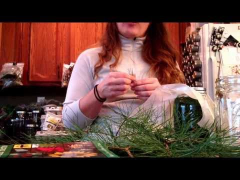 download lagu mp3 mp4 Pine Infusion, download lagu Pine Infusion gratis, unduh video klip Pine Infusion