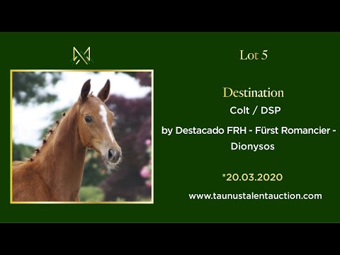 Lot 05 - Destination