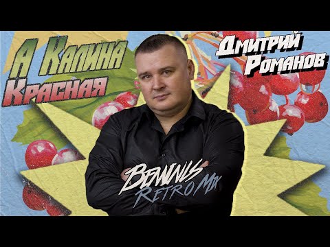 Дмитрий Романов - А калина красная (Benvinls Retro Mix)