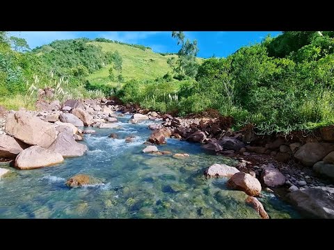 Amazing place to relax, beautiful birdsong, calming river sound, sleep, relax, focus, stress relief