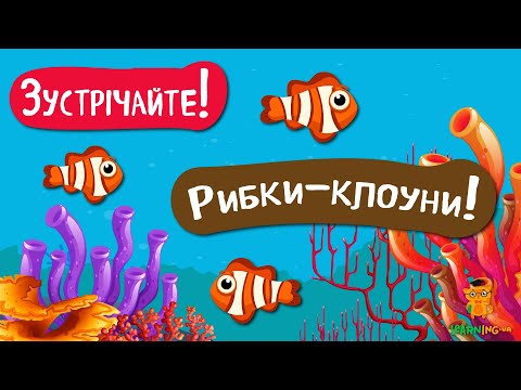 Дива природи. Явища навколо нас. Рибки-клоуни та морські анемони