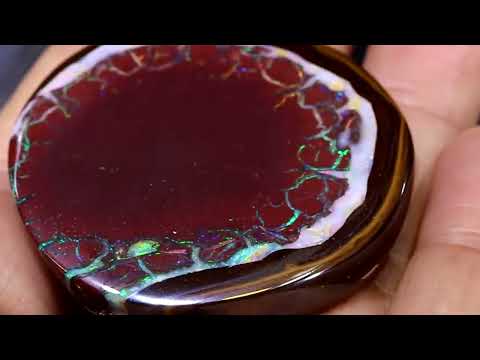 Visit our OPALS at www.trueblueopals.com @trueblueopals