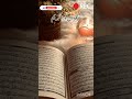 Quran Recitation In Urdu Translation ️ Love Quran Quranforeever Quranrecitation Motivation