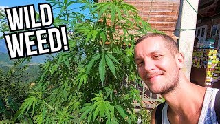 NORTHERN VIETNAM TRIP- HA GIANG 🇻🇳