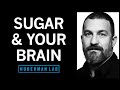 Controlling Sugar Cravings Metabolism With Science Based Tools Huberman Lab Podcast 64
