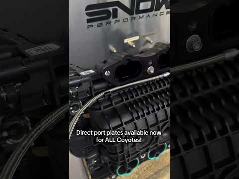 NX 5.0 Coyote nitrous systems are in stock and ready to ship! #mustang #coyote #nitrousexpress