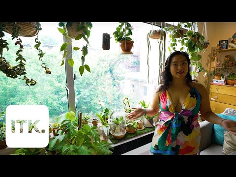 Over 200 plants fill this dreamy Brooklyn apartment: Watch! | Home tour