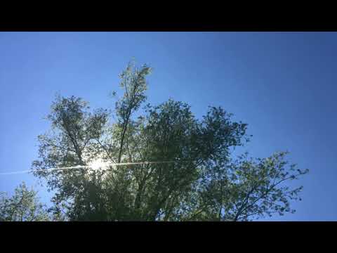 A minute of Nature - Oy-Mittelberg 2019