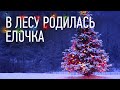 В лесу родилась елочка - детская Новогодняя песня 