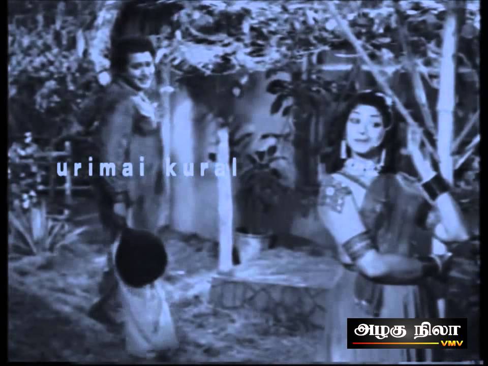 Moongil Mara Song Lyrics | Azhagu Nila | P. Susheela, Seerkazhi Govindarajan