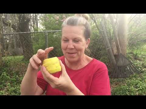 download lagu mp3 mp4 In Loving Memory Meaning, download lagu In Loving Memory Meaning gratis, unduh video klip In Loving Memory Meaning