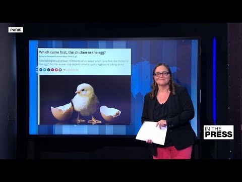 'Which came first, the chicken or the egg?' Scientists have answers • FRANCE 24 English