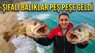 EZBER BOZAN KAYA LEVREĞİ EŞKİNA AVI ! ŞİFALI BALIKLAR PEŞ PEŞE GELDİ 😱🎣4K