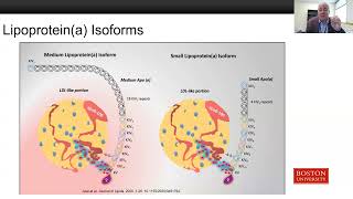 Lipoprotein(a) & 2026 ACC/AHA Guideline on the Management of Dyslipidemia