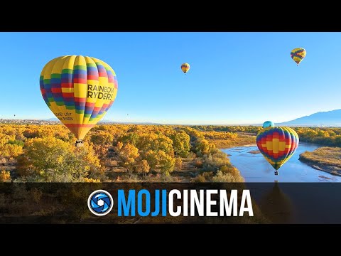 Moji Cinema video.