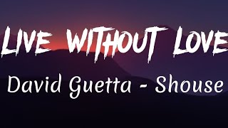 David Guetta ft Shouse - Live Without Love (lyrics)