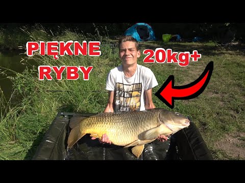 I DIDN'T BELIEVE I WOULD CATCH IT... (best carp and night fishing trip)