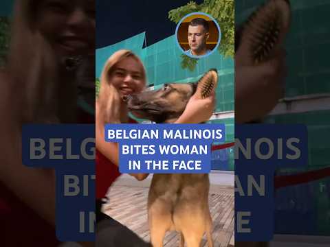 PERRO BELGA MALINOIS MUERDE A UNA MUJER EN LA CARA