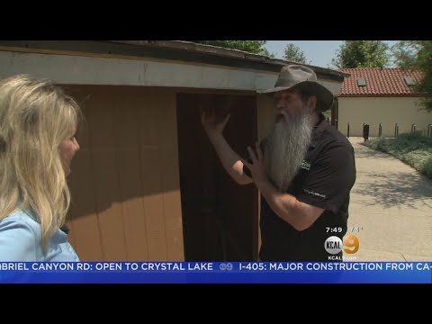 In The Garden (Aug. 11)